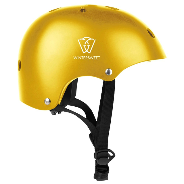 WS Round Helmet